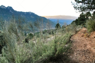 小路,冬天,绿色,地形,山,在之间,植物群,山脊,清新,风