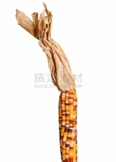 印第安玉米,垂直画幅,无人,外壳,玉米,老玉米,蔬菜,食品,谷类,摄影