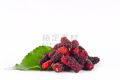 健康食物,桑椹,食品,分离着色,白色背景,浆果,水果,叶子,果汁,水平画幅