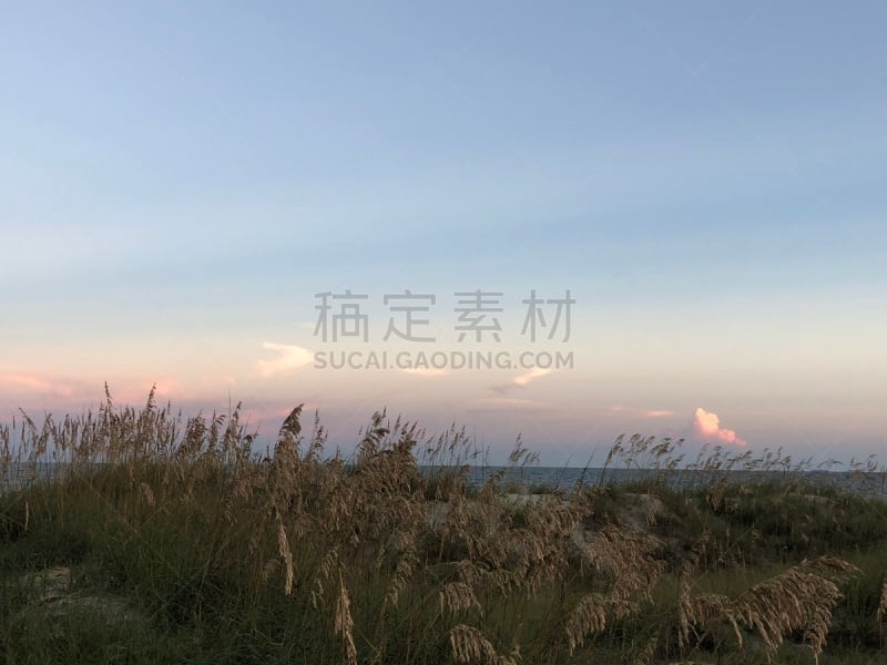 海岸野燕麦,地平线,海滩,蜡笔画,云景,美国东部,云,南卡罗来那,希尔顿赫德,著名景点