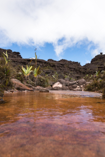 罗赖马山,canaima,平顶山区,罗赖马州,平顶山,委内瑞拉,垂直画幅,南美,无人,户外