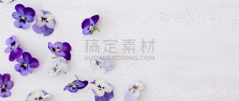 清新,紫罗兰,木制,留白,紫色,背景,母球,美,贺卡,水平画幅