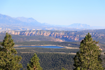 风景,犹他,地球,莫斯特,一只动物,路,万岩柱,沙岩,escalante,沙漠