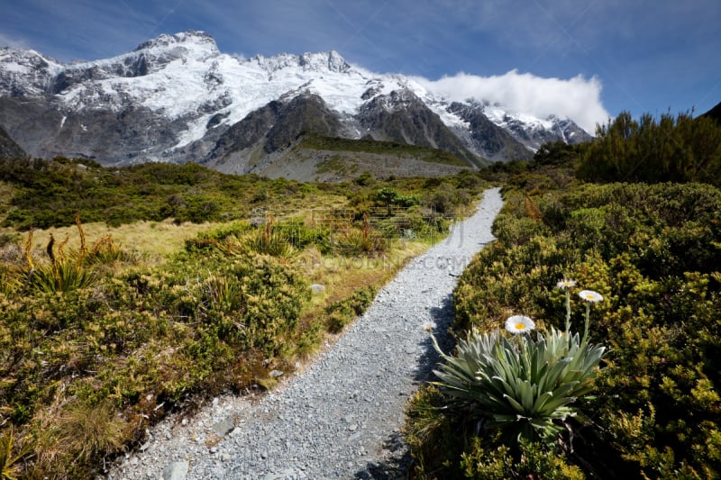 库克山国家公园,小路,新西兰,徒步旅行,塞夫顿山,库克山,南阿尔卑斯山脉,国家公园,水平画幅,无人