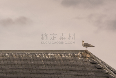 诺曼底埃特塔尔海滩,诺曼底,水平画幅,无人,欧洲,建筑结构,居住区,屋顶,住宅内部,光