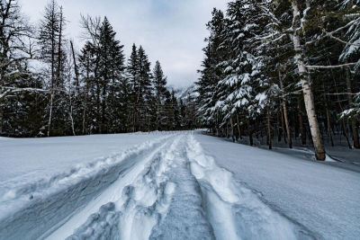 穿雪鞋走路运动,冬季运动会,美国冰河国际公园,雪鞋,蒙大拿州,冬季运动,水,天空,休闲活动,雪