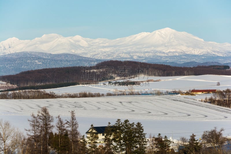 雪,春天,冬天,田地,山,农业,贺卡,旭岳火山,深雪,背景