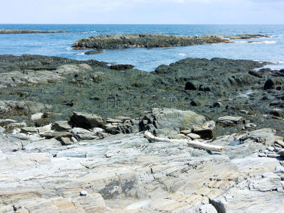 风景,岛,一只动物,灵感,休闲活动,水平画幅,无人,大西洋,夏天,缅因海湾