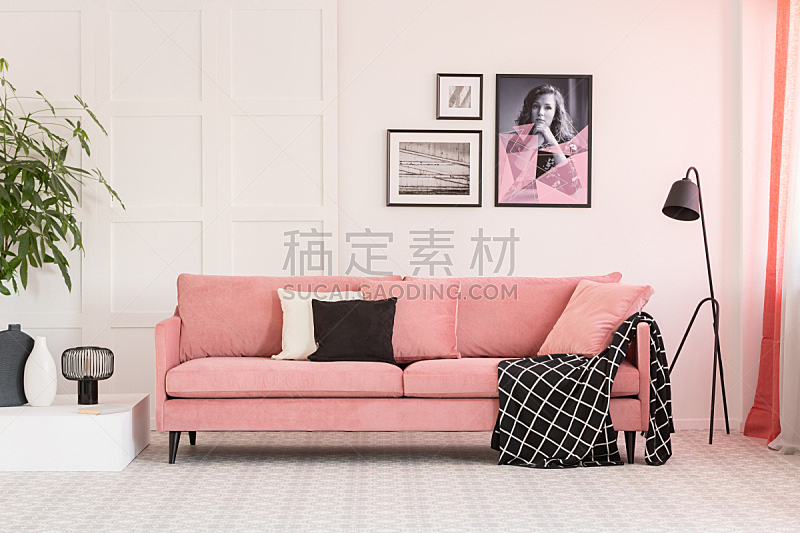 沙发,现代,白色,粉色,灯,室内,起居室,围墙,工业