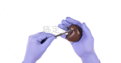 白色背景,人类肾脏,手牵手,四肢,解剖刀,美国,手套,水平画幅,蓝色