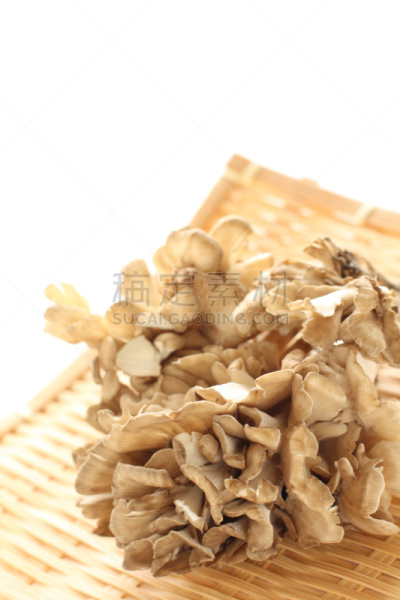 日本,真菌,舞茸蘑菇,垂直画幅,留白,无人,蘑菇,白色背景,篮子,室内