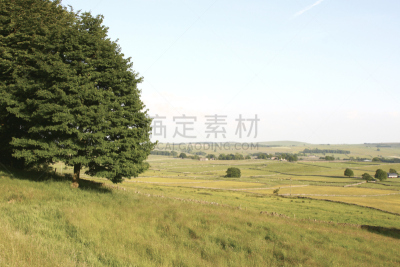 田地,泰兹威尔,德比,干草,旷野,摩尔人风格,水平画幅,无人,英格兰,夏天