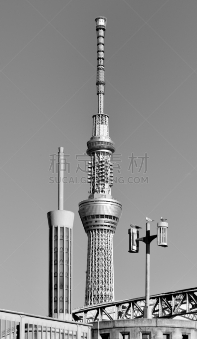 东京天空树,黑白图片,垂直画幅,建筑,无人,日本,观测点,户外,高大的,城市