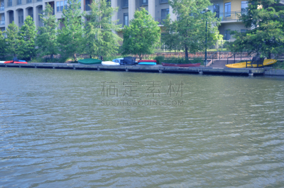绿河,皮划艇,皮船,桨,水,水平画幅,运河,鸟类,户外,船