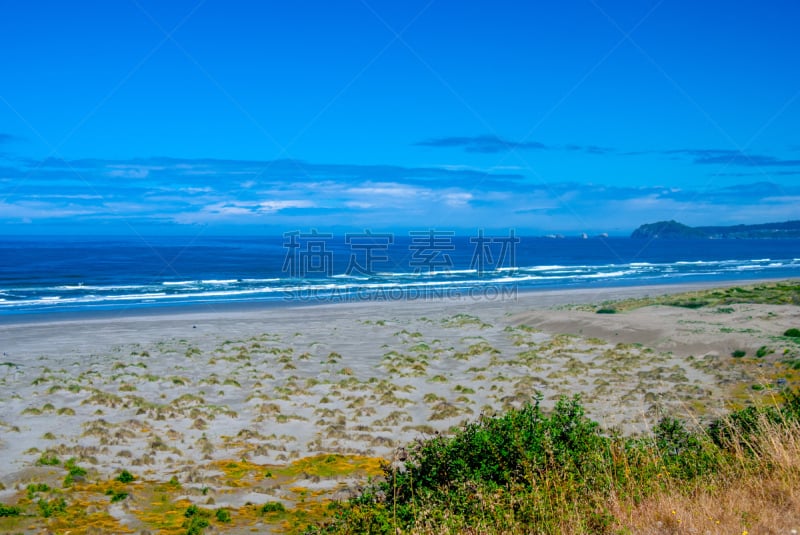 海滩,特立尼达岛,动物头,蛤蚌,云,自然美,海岸线,海岬,波浪,背景