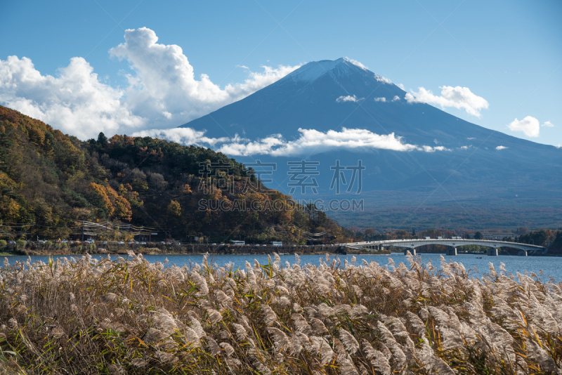 河口湖,富士山,日本,富士河口湖,水,天空,美,里山,水平画幅,雪