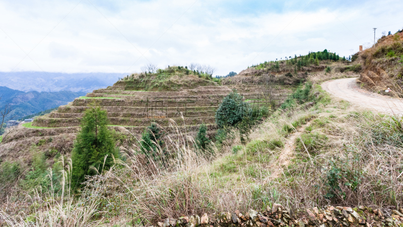 梯田,非都市风光,山,路,龙脊山,龙脊梯田,龙胜,桂林,水稻梯田,稻田