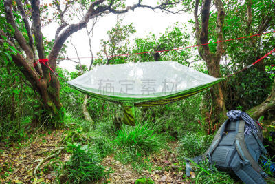 吊床,小路,徒步旅行,现代,泰国,自然美,30到39岁,户外,中年男人,网
