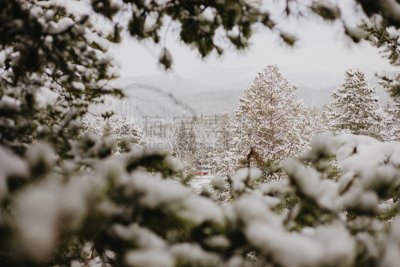 雪,户外,山脉,科罗拉多州,自然,季节,冬天,冻结的,宁静,布瑞金利吉
