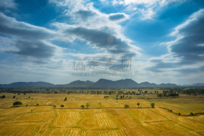 山脉,田地,天空,雪,夏天,草,山脊,彩色图片,风景