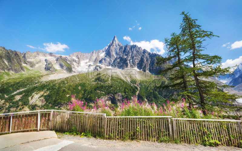 夏天,阿尔卑斯山脉,旅游目的地,自然美,水平画幅,山,雪,无人,冰河,户外