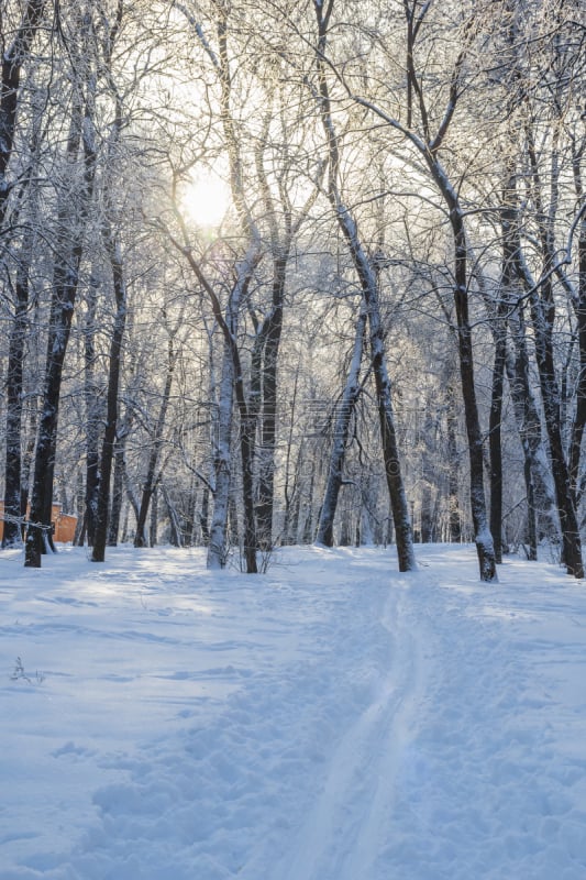 滑雪痕,运动,一月,环境,霜,雪,天气,二月,户外,天空