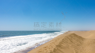 火烈鸟,野生动物,大西洋,动物,鸟类,中国,沃尔维斯湾,户外,天空,自然