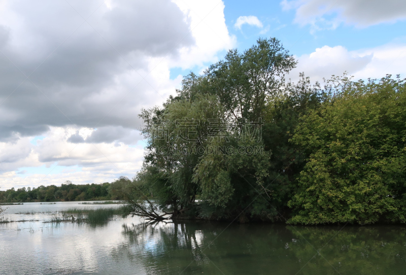 The Saône river