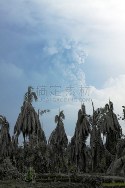 墨拉皮火山,灰,十一月,2010,烟,中爪哇省,bromo-tengger-semeru national park,滕格尔火山,东爪哇,日惹特区