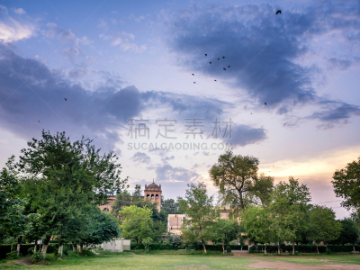 白沙瓦,大学,水平画幅,枝繁叶茂,建筑,无人,全景,建筑结构,陆地,植物
