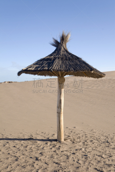 海滩遮阳伞,垂直画幅,度假胜地,沙子,无人,偏远的,户外,海滩,热带气候,海景