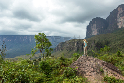 罗赖马山,平顶山区,平顶山,canaima,罗赖马州,委内瑞拉,南美,水平画幅,无人,户外