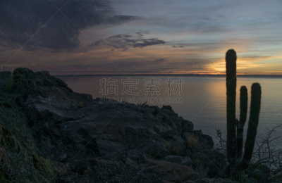 南加里福尼亚,墨西哥,考特斯海,拉巴斯,摄像机拍摄角度,接力赛,在上面,水,水平画幅