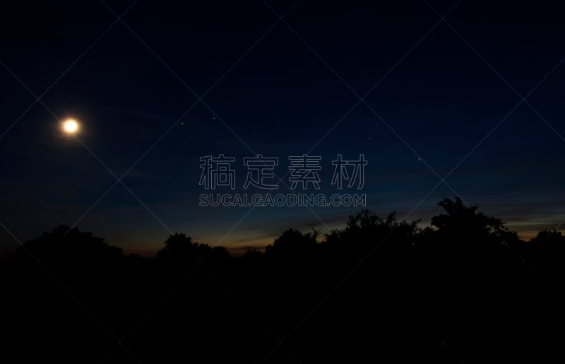 夜晚,草地,欧洲蕨,天空,美,水平画幅,无人,月亮,户外,草