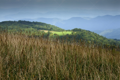 阿巴拉契亚山间栈道,北卡罗来纳,菜园,南方丘陵地带,自然,草地,美国,水平画幅,地形