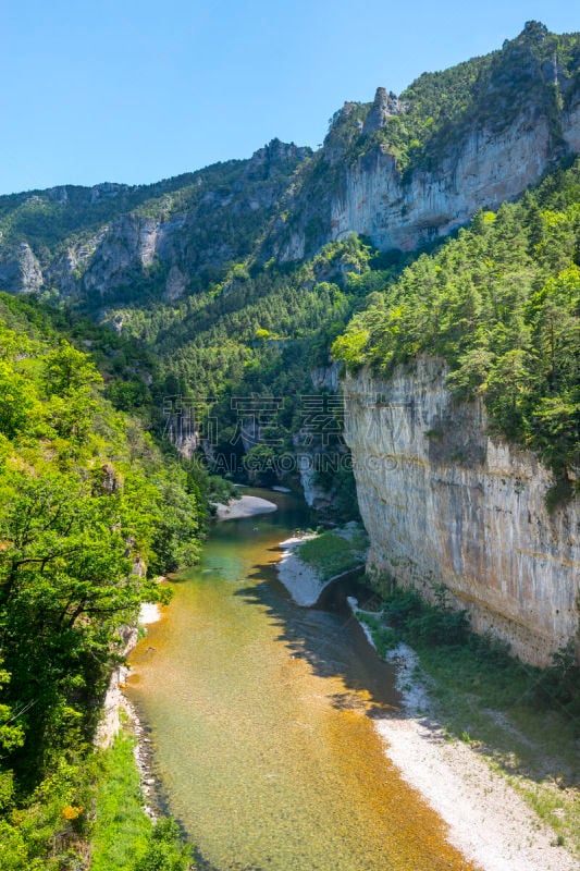 塔河峡谷,垂直画幅,沟壑,罗泽尔,无人,古老的,sainte-enimie,夏天,户外,树林