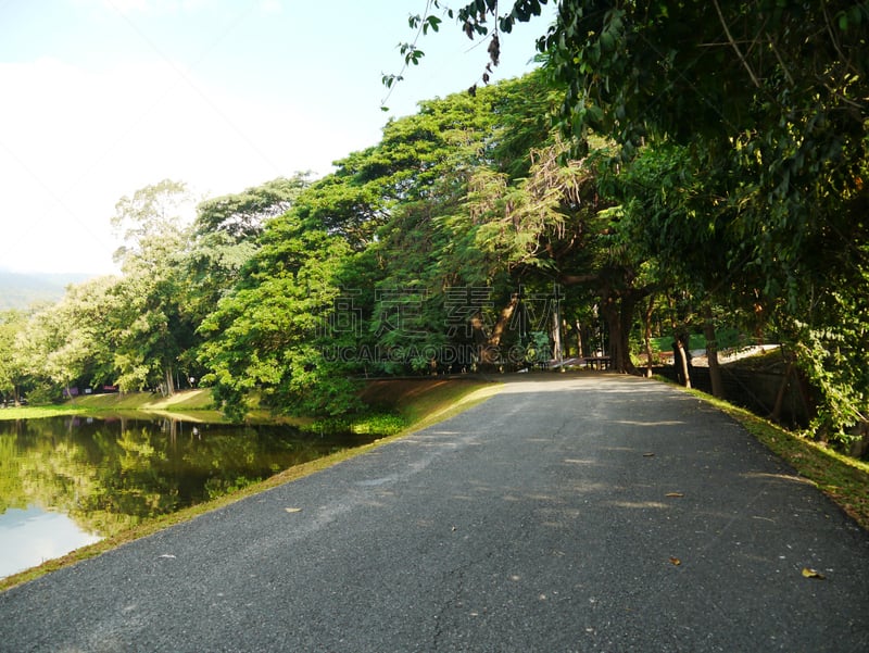 步行道路,凤眼莲,水库,自然,水平画幅,绿色,无人,早晨,户外,齿状山脊