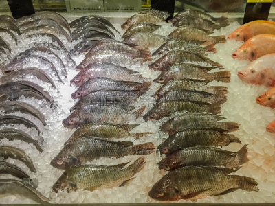 巨大的,鱼类,罗非鱼,市场,红辣椒,碎冰,水,水平画幅,提举,生食