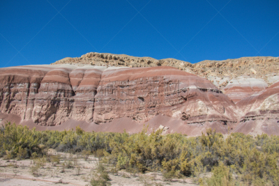风景,犹他,地球,路,莫斯特,一只动物,万岩柱,沙岩,escalante,沙漠