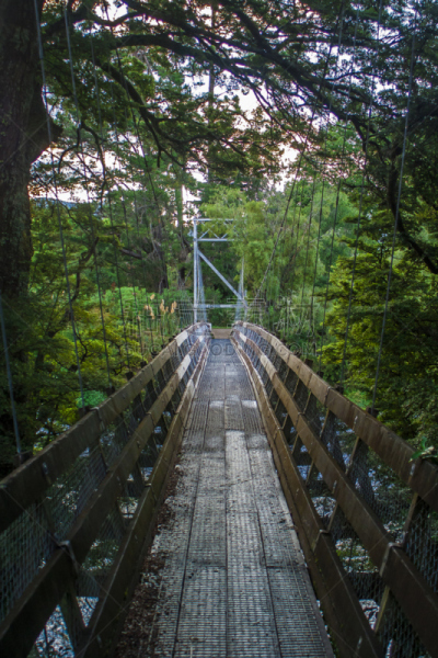 在上面,加里河,turangi,回旋桥,汤加里罗国家公园,自然,垂直画幅,公园,绿色,地形