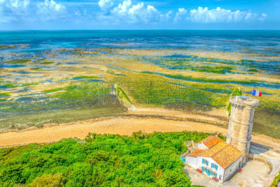 法国,航拍视角,日岛,大西洋,著名景点,海岸线,夏天,户外,天空,旅行者