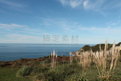 天空,蓝色,潘帕斯大草原,日光,植物群,自然美,美,留白,草原,水平画幅