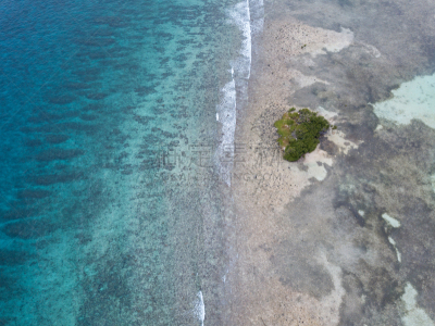 礁石,航拍视角,加勒比海地区,美,度假胜地,水平画幅,水肺潜水,无人,科学