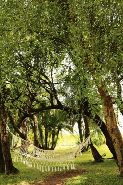 吊床,园林,垂直画幅,度假胜地,无人,夏天,棕榈树,树荫,植物,悬挂的