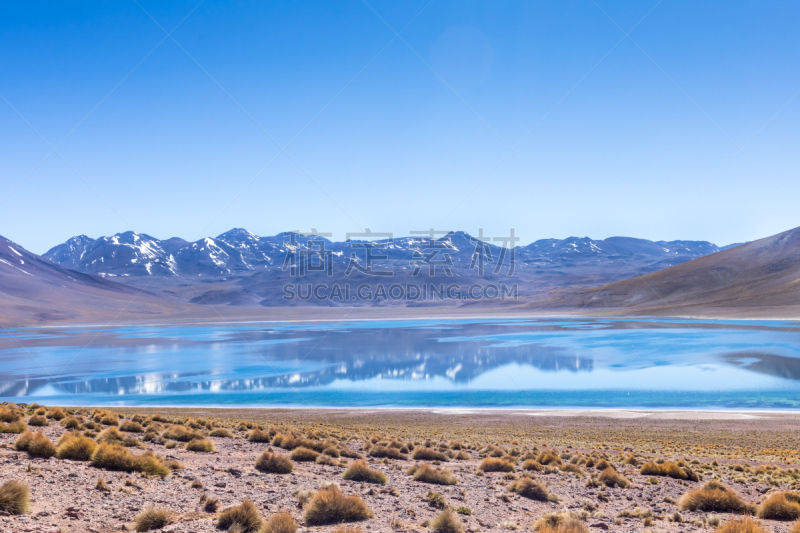 阿塔卡马沙漠,风景,非凡的,国内著名景点,湖,泻湖,阿塔卡马大区,沙漠,背景,户外