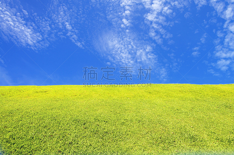 蓝色,草,绿色,在下面,天空,田地,自然,草地,天堂,水平画幅