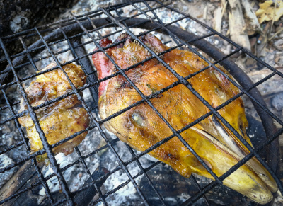 格子烤肉,人的头部,鸭子肉,火,亚洲,手提炉,传统,蔬菜,牛排,清新