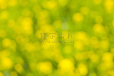 黄色の背景