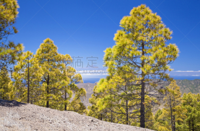 大加纳利,看风景,气候,热,大西洋,皮可德泰德山,户外,高处,晴朗,特内里费岛