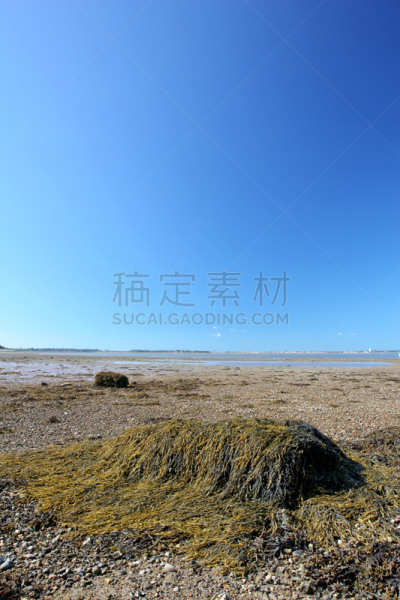 海草,岛,圆石滩,朴茨茅斯,西苏塞克斯,木瓦,苏塞克斯,河口,垂直画幅,天空